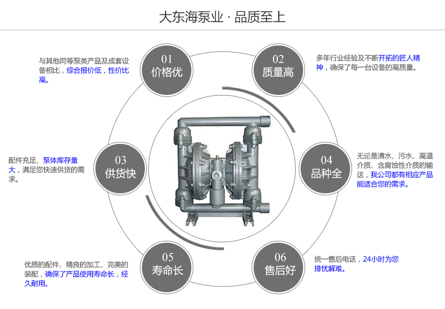 大東海泵業(yè)鑄鐵氣動隔膜泵質(zhì)量保證圖