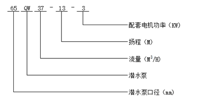 大東海泵業(yè)污水潛水泵型號意義